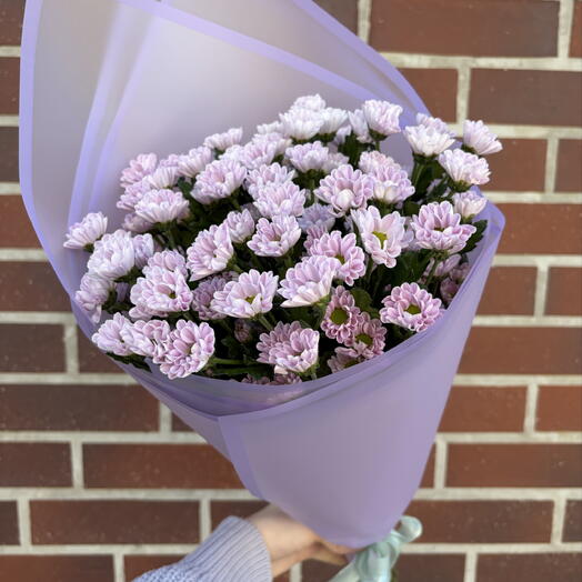 Сантини💜