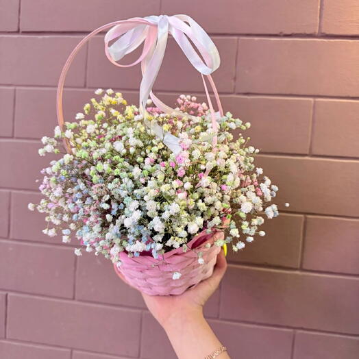 Гипсофила🌸
