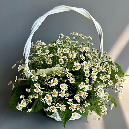 Корзинка с ромашками
