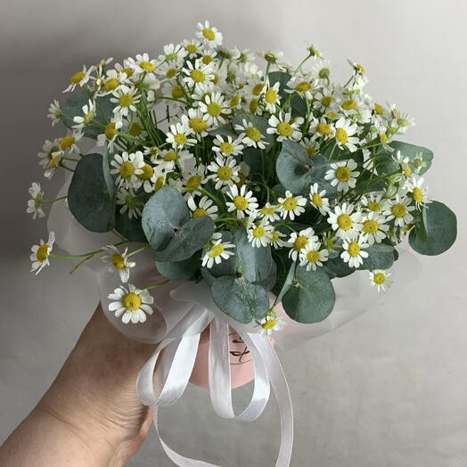 Цветочный комплимент с рамашками