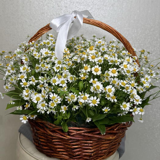 Большая корзина ромашек