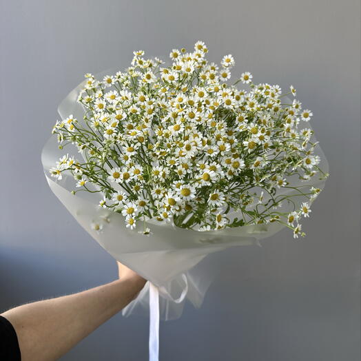 Монобукет из 11 веток ромашек 🌼