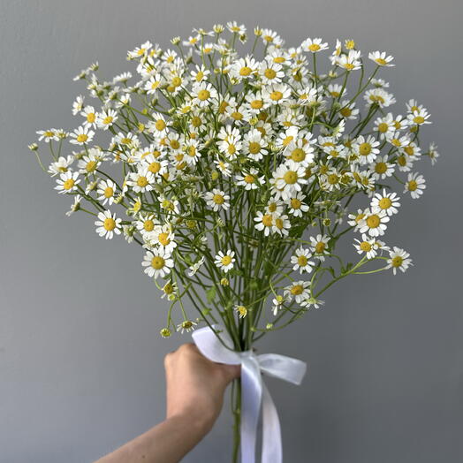 Монобукет из 5 веток ромашек🌼