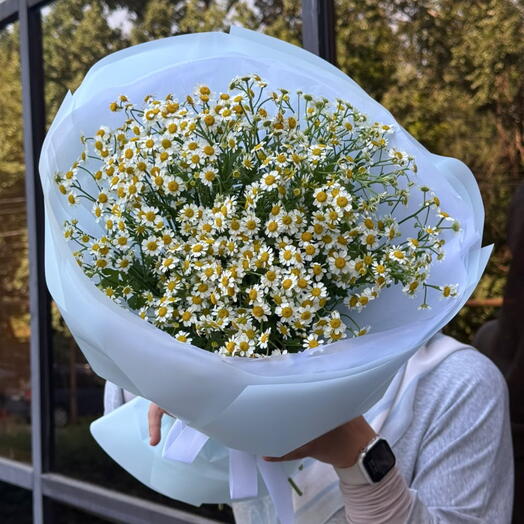 Chamomile Breeze