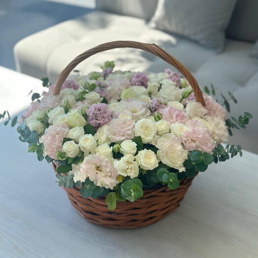 Maison Color Bloom 🌷