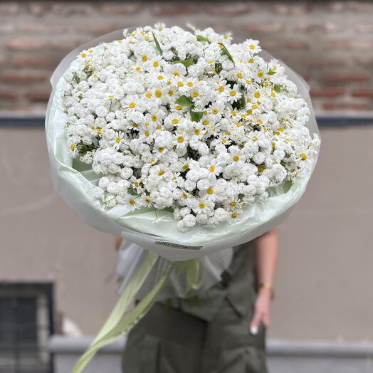 Chamomile dream