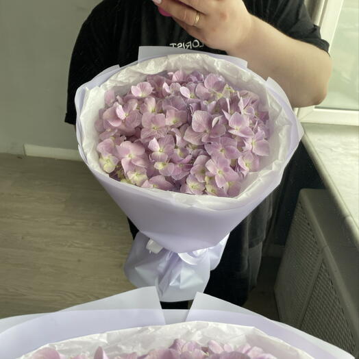 Лиловая гортензия