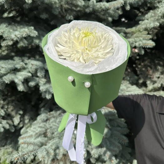 Изумрудный акцент