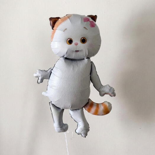 Шар Любимая кошечка