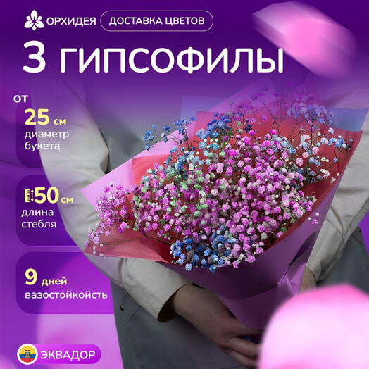 3 Гипсофилы радужных