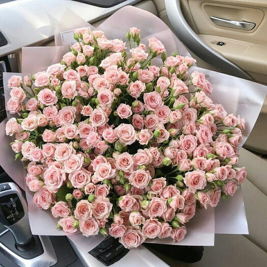 Кустовая Роза EXCELSA PINK 31