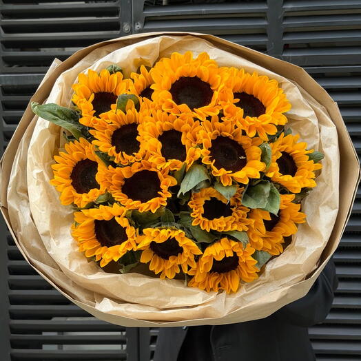 Sunflower M