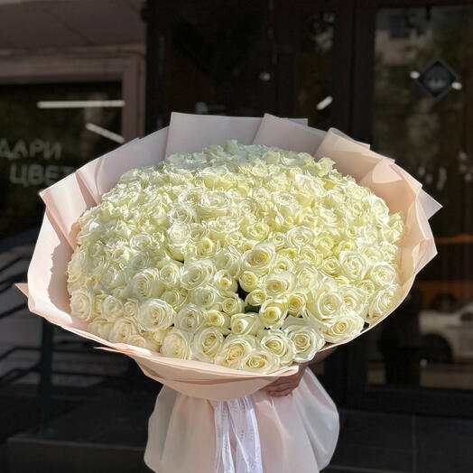 White Rose 201 pcs