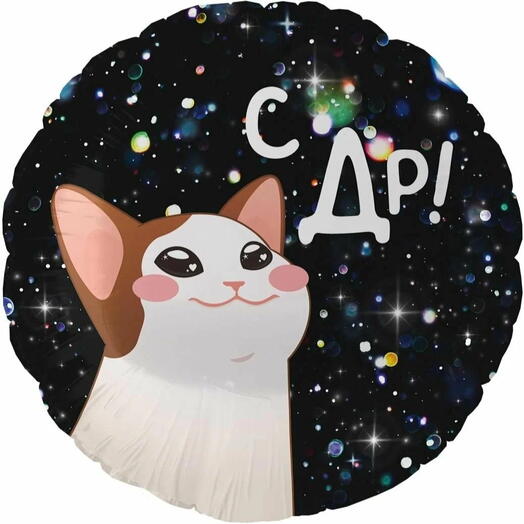 Воздушный шар с котиком др