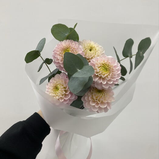 Георгины розовые