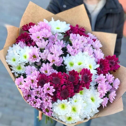 Хризантемы микс 15*