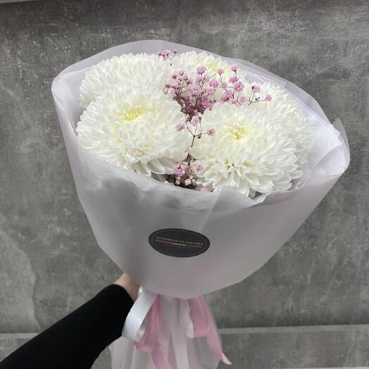 Букет из 5 белых одноголовых хризантем и розовой гипсофилы