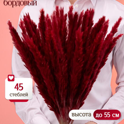 Пампас мини бордовый 45 шт. Высший сорт М270