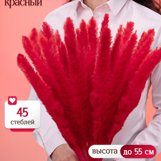 Пампас мини красный 45 шт. Высший сорт М267