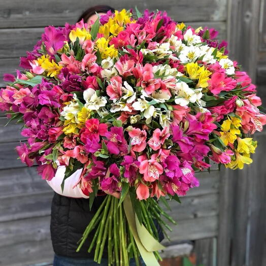 Букет из альстромерии микс (51шт)