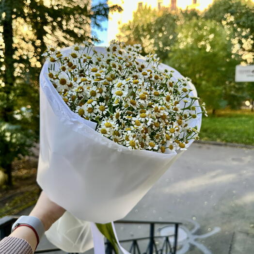Нежный букет из Ромашек 🌼