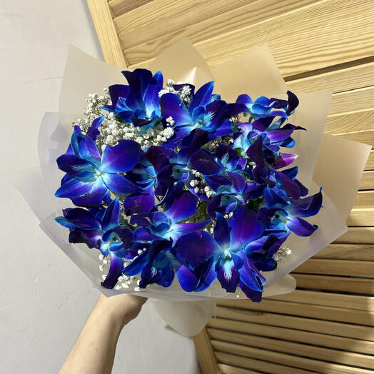 Орхидея Дендробиум 1💙