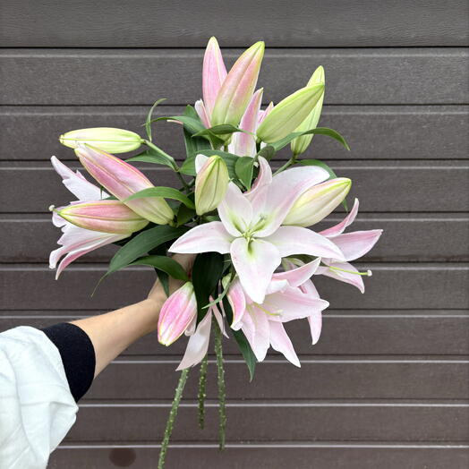 🌸 Элегантность в каждом лепестке: три розовые лилии, связанные лаконичной лентой