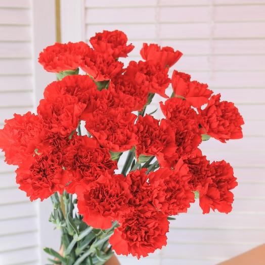 Clavel25