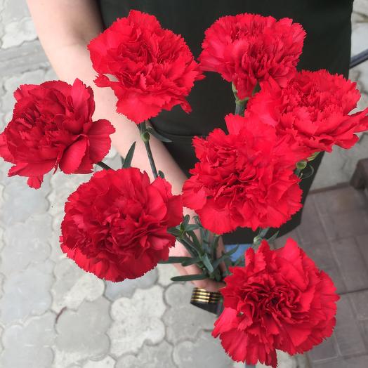 Гвоздика 7