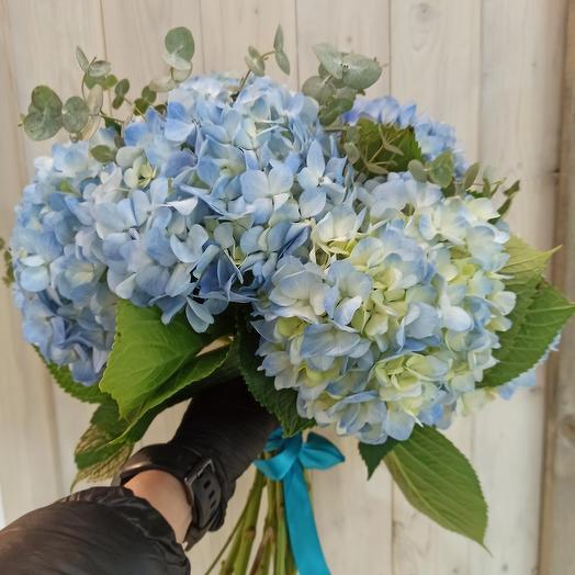 Bouquet of blue hydrangeas