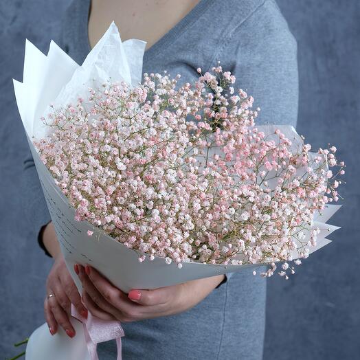 Ramo de gypsophila "nube Rosa"