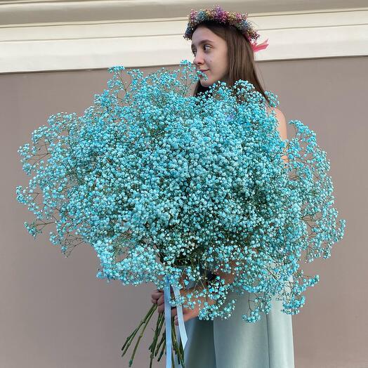Gypsophila blue