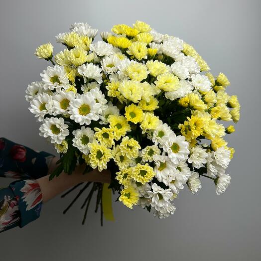 Хризантема сантини микс желто-белая 15 шт
