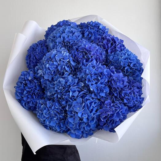 Gartensia 🌸