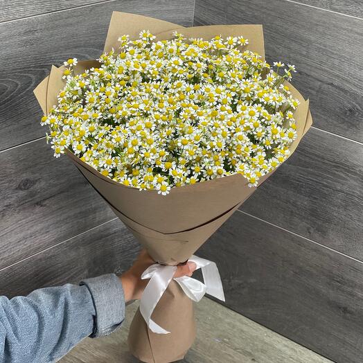 Bouquet of daisies