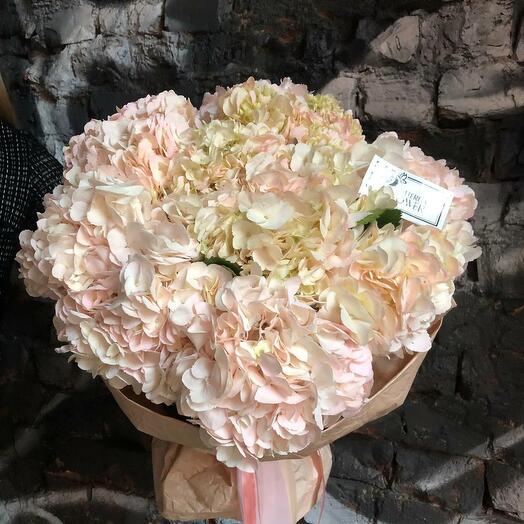A beautiful bouquet of 7 soft pink hydrangeas "Suoranda"