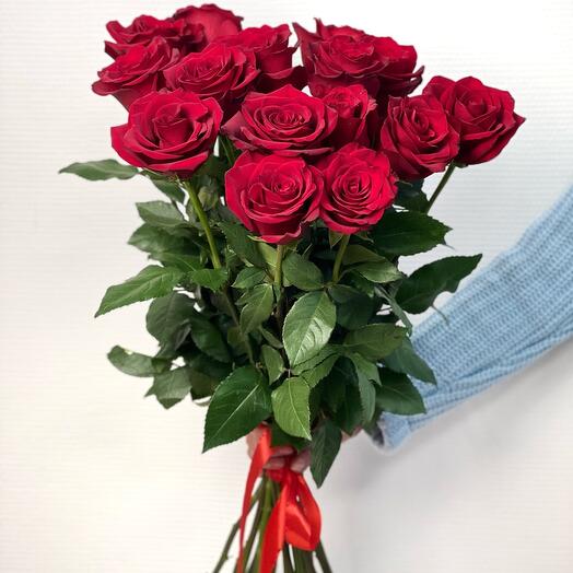 15 Burgundy Ecuadorian Roses Explorer
