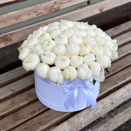 Flores en Caja peonías blancas duches 51pcs