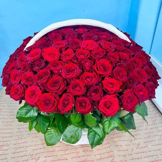 101 roses
