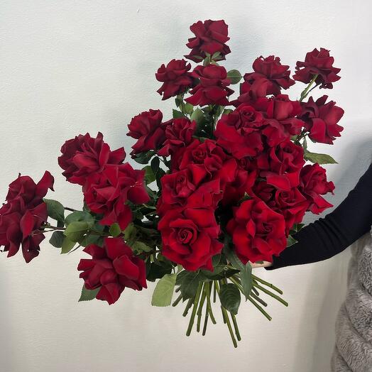 French Royal Rose