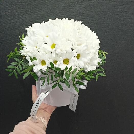 Composition of daisies