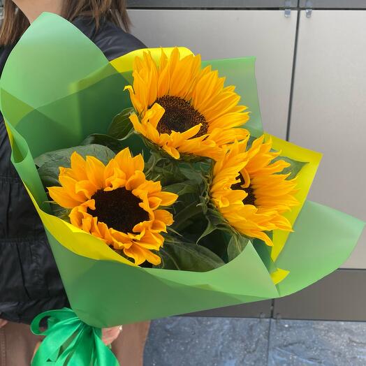 Sunflowers