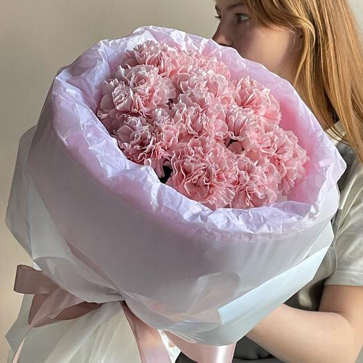 Nube rosa