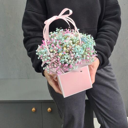 Gypsophila rainbow in her purse