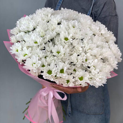 25 кустовых хризантем 🕊️