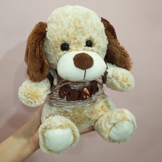 Пёс в футболке