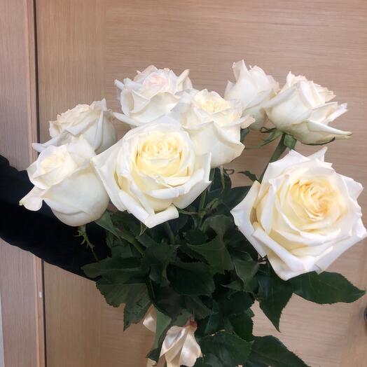 White roses