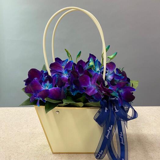 The orchid in the Milky Way handbag
