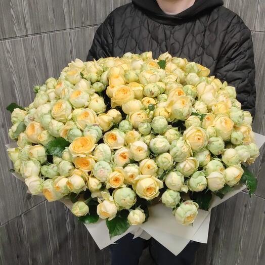 Букет из 101 кустовой пионовидной розы