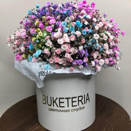 Бокс M с гипсофилой